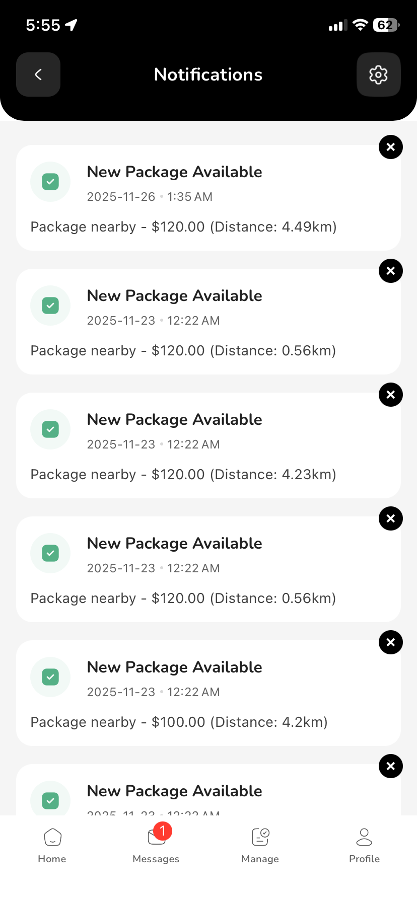 PiqDrop Rider - 12